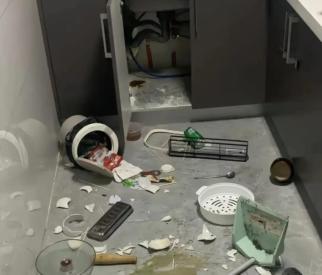 结婚才刚满三个月，客厅地上的碎瓷片还没扫干净，两口子就已经闹得要过不下去了。女人