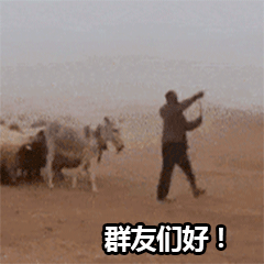 月薪1.6万放羊已筛选出2对夫妻为啥我到现在才知道这样的好事情啊，因为我也想去，