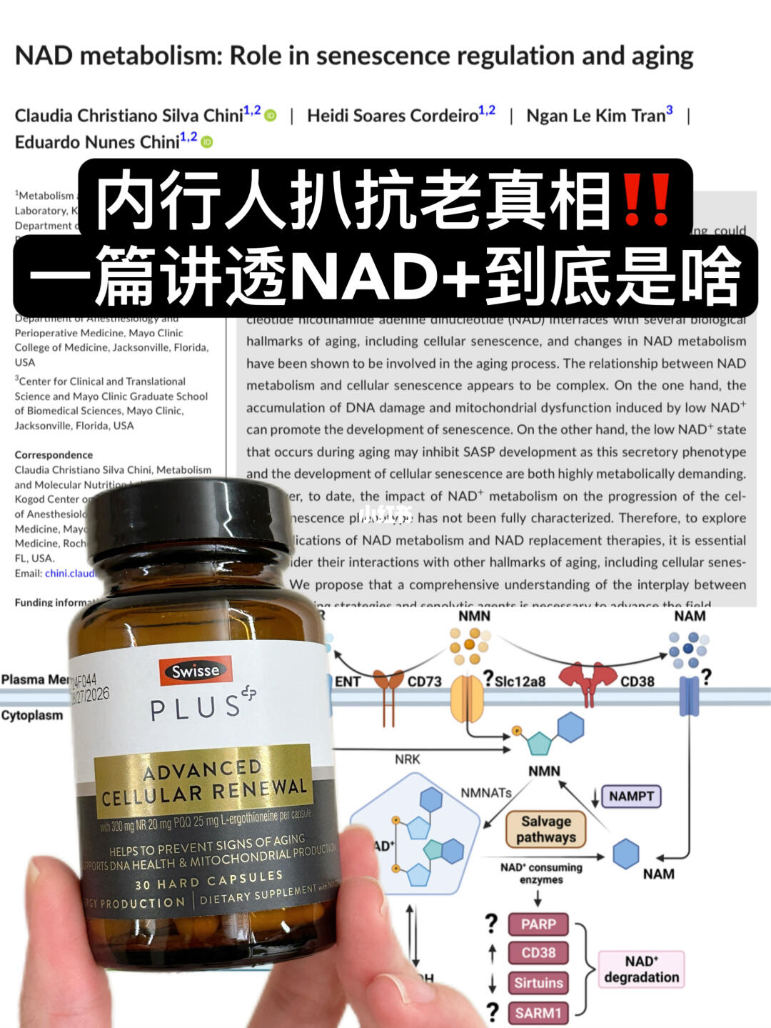 亿万富豪追捧的NAD+抗老，智商税还是真科技？