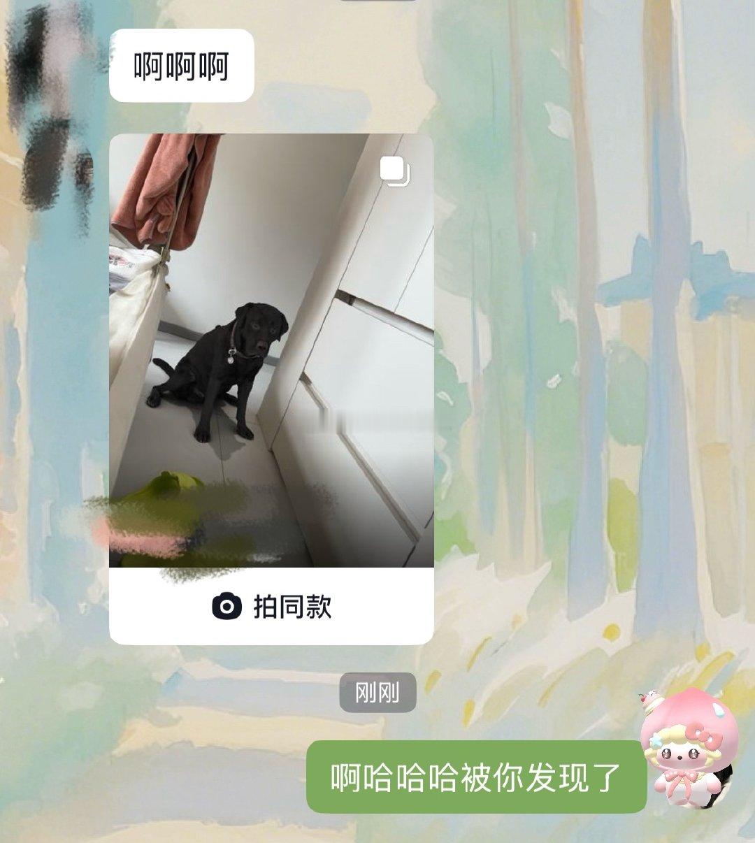 果然人干坏事的时候是憋不住笑的啊哈哈哈哈🐺的反应一愣一愣的，即使发现呆呆的也没