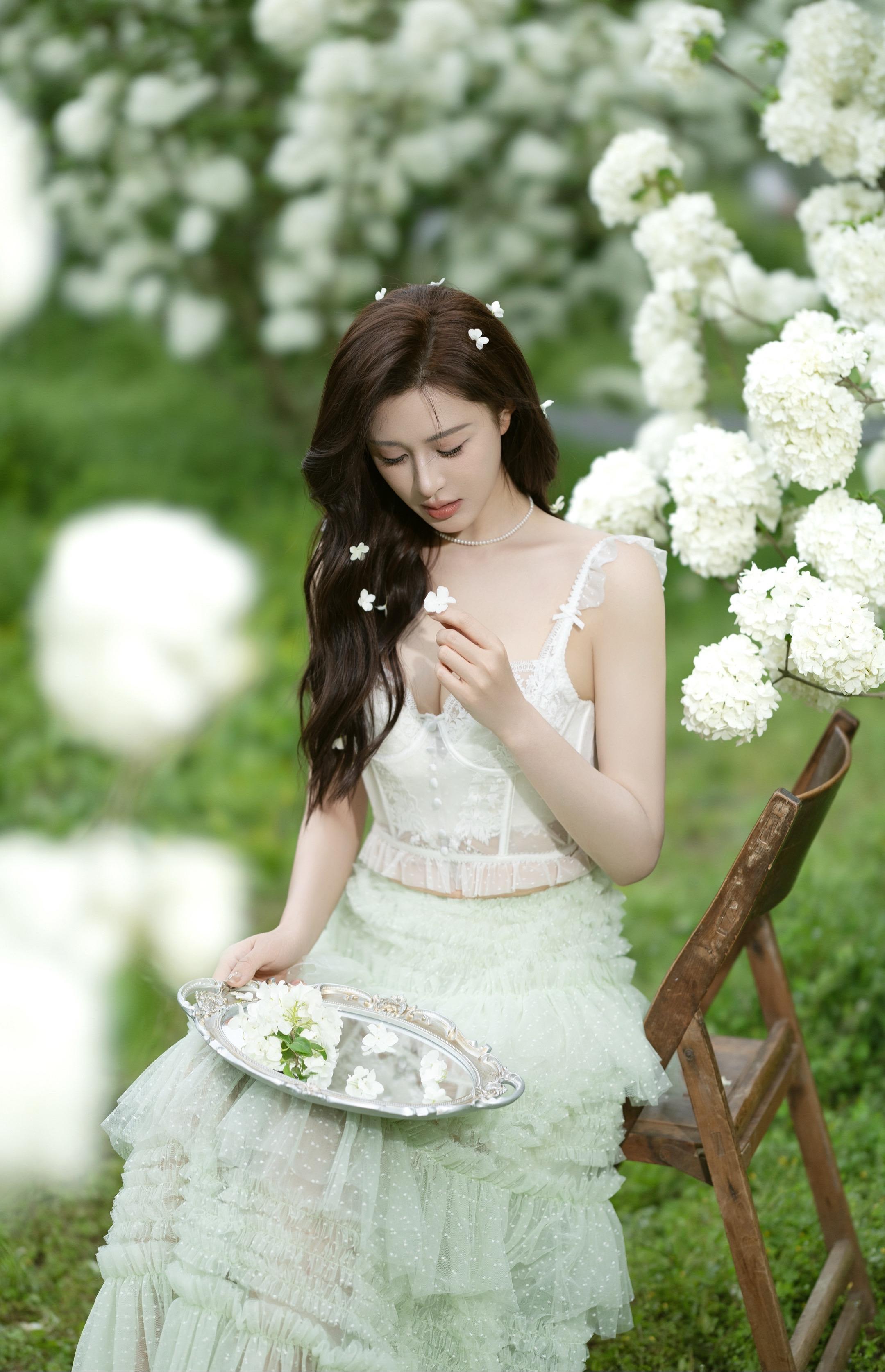 绣球花🌸。摄影