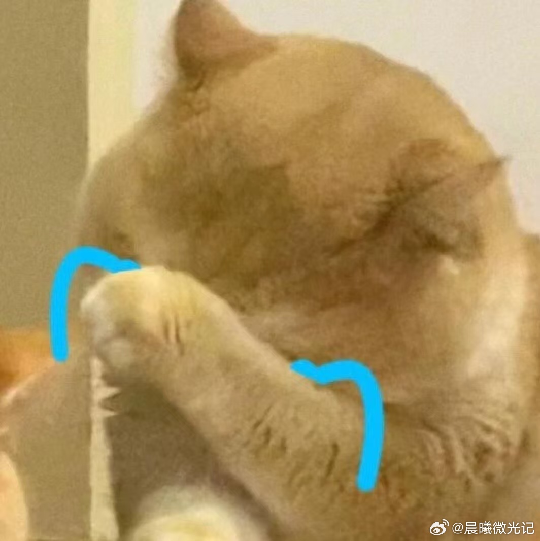 装修是一个遗憾工程吗 卧室床头插座装太低，充电线总是不够长 