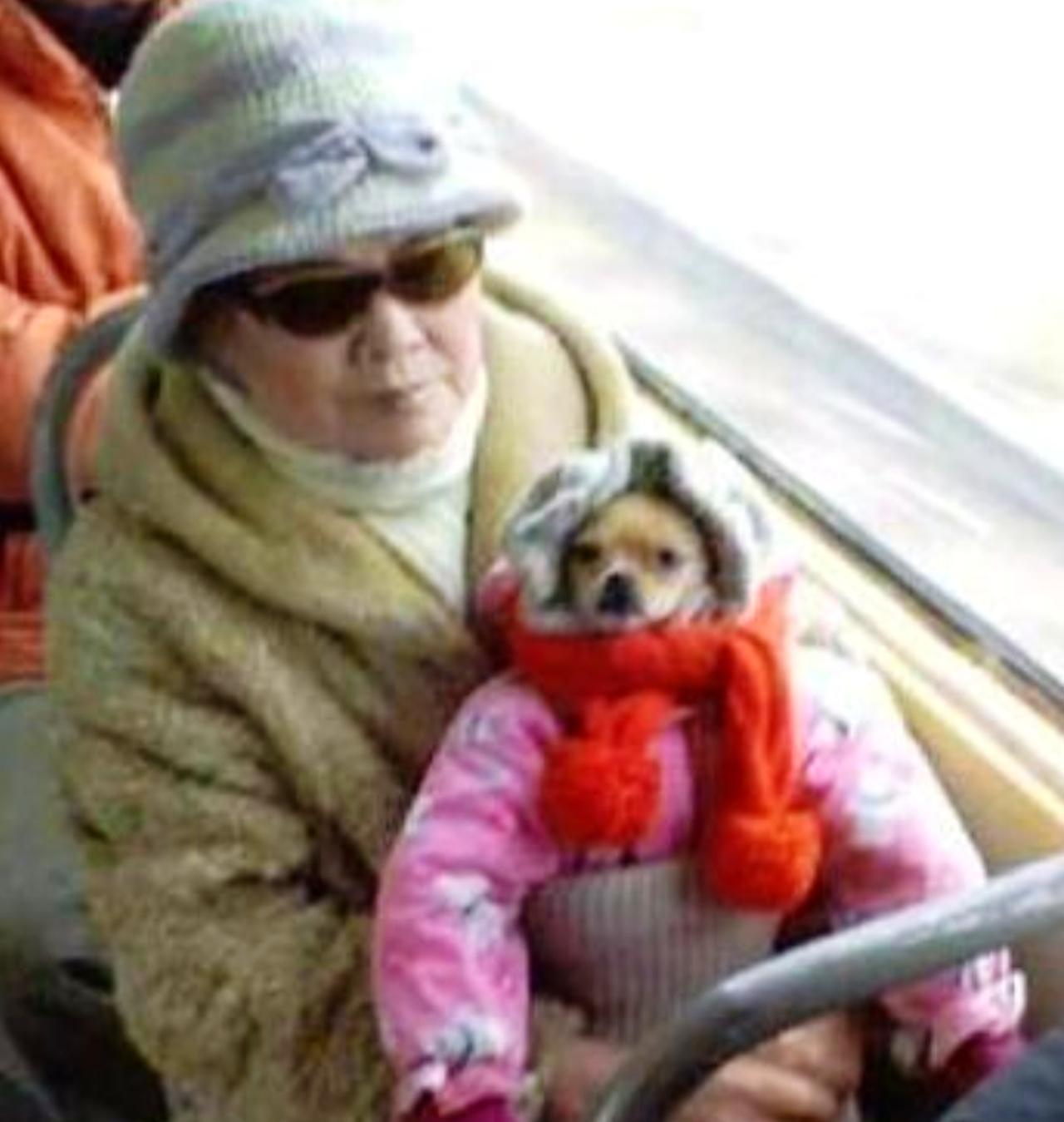 这位老太太真有办法，知道狗不能上公交，居然给狗套上儿童装乔装打扮，愣是蒙混过关！