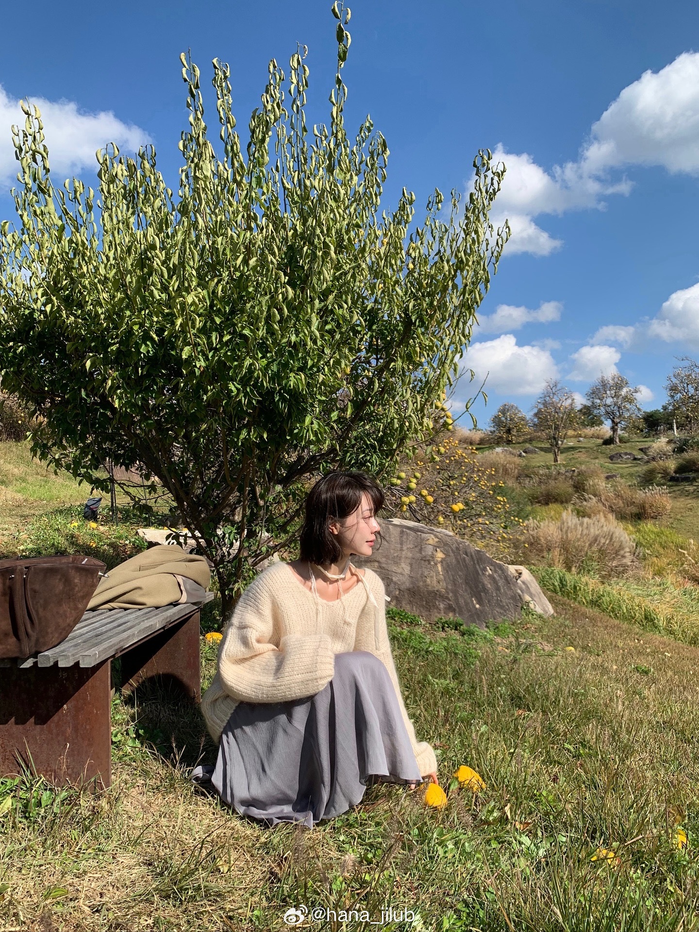 周美更新大邱 ​​​