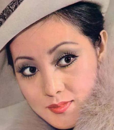 1973年，香港百万富豪赵世光与何莉莉结婚，不久后赵世光拿着钱要跟妻子何莉莉离婚