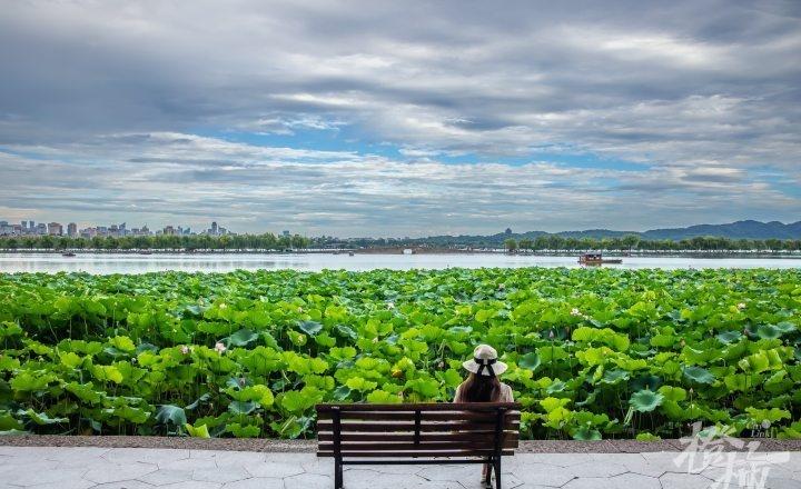 台风“巴威”逼近，7月8日下午，西湖上空云层渐密。50岁的园林女工杨正容从工友手