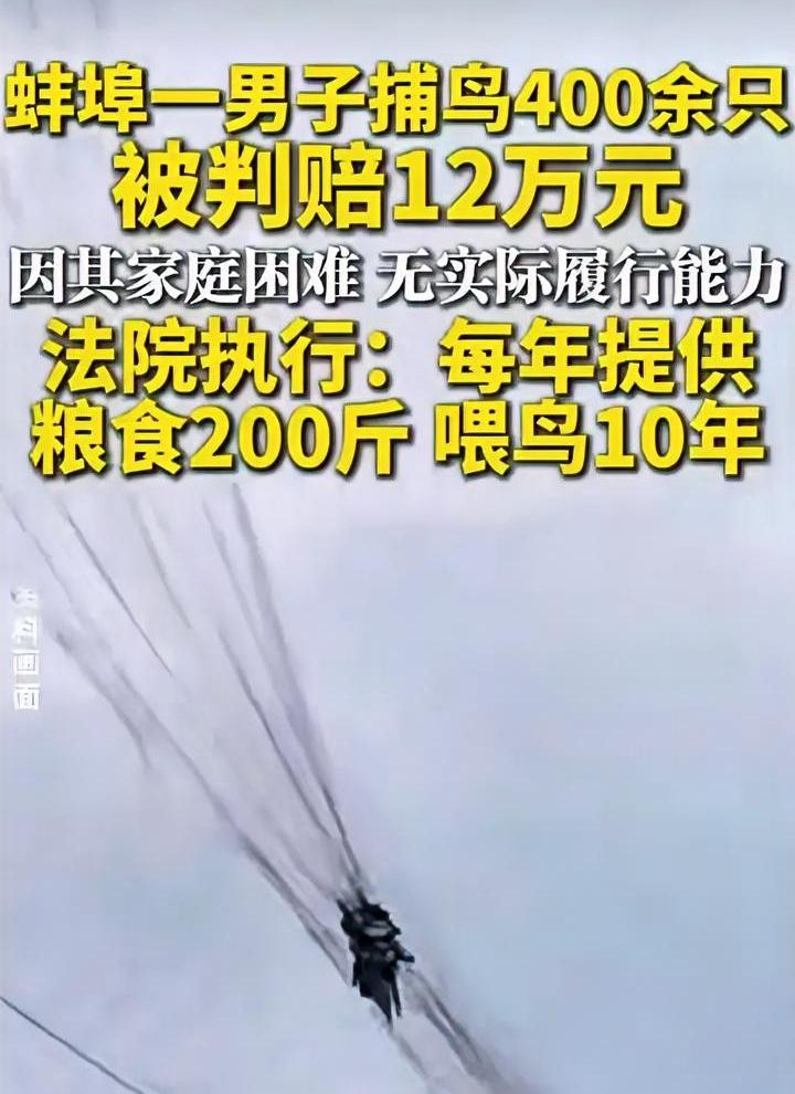 农民狩猎400多只鸟，被罚喂鸟10年，这样的法官请多多益善。

蚌埠一农民用粘网