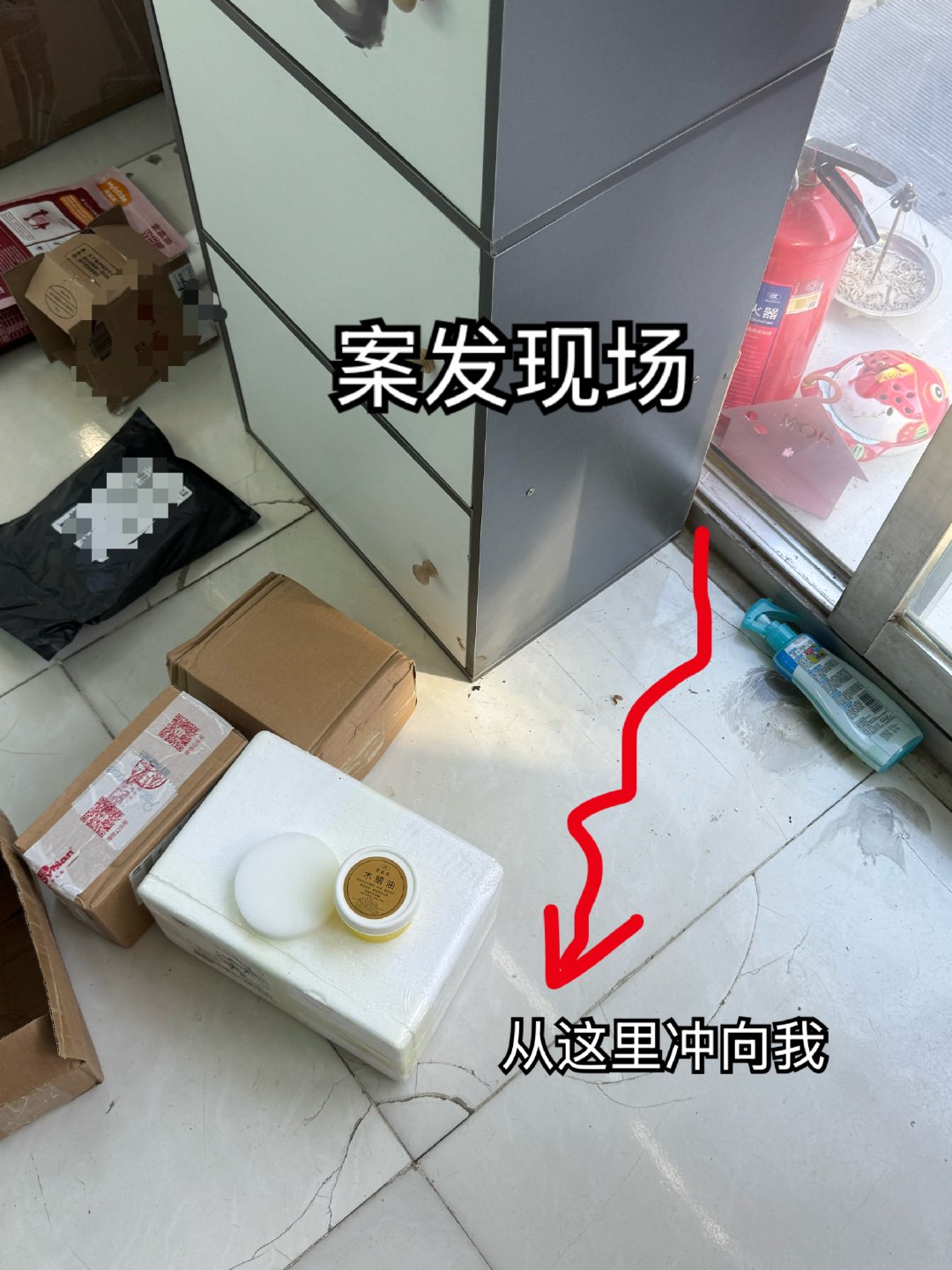 刚才蹲在地上拆新家的100个快递……放在鞋柜旁边……刚扯过一个袋子，下面爬出来一