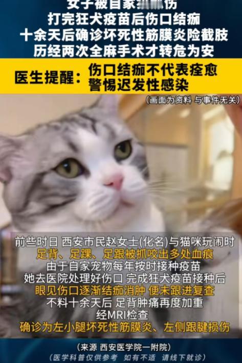 “悲剧还是发生了！”8月12日报道，陕西西安，一女子被自家猫抓伤，她打完狂犬疫苗