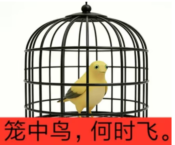最近影院有好看的电影吗