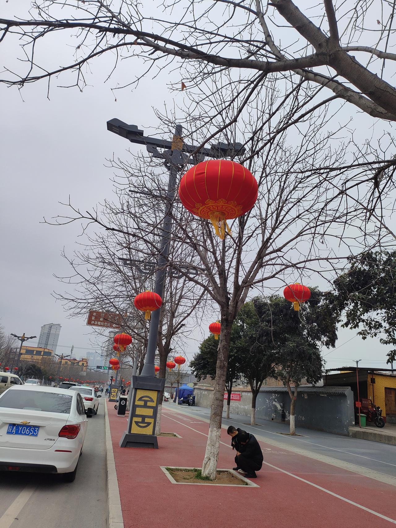 灰白的天际下，一树树红灯笼如跳跃的星火，瞬间点亮了寻常的街巷。枯枝承托着朱红，清