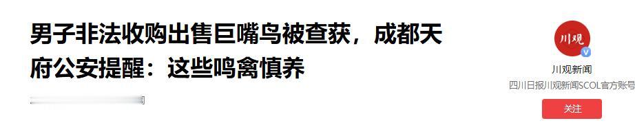 成都一名男子为牟取暴利，跨省非法收购 14 只国家二级保护巨嘴鸟私自饲养，妄图高