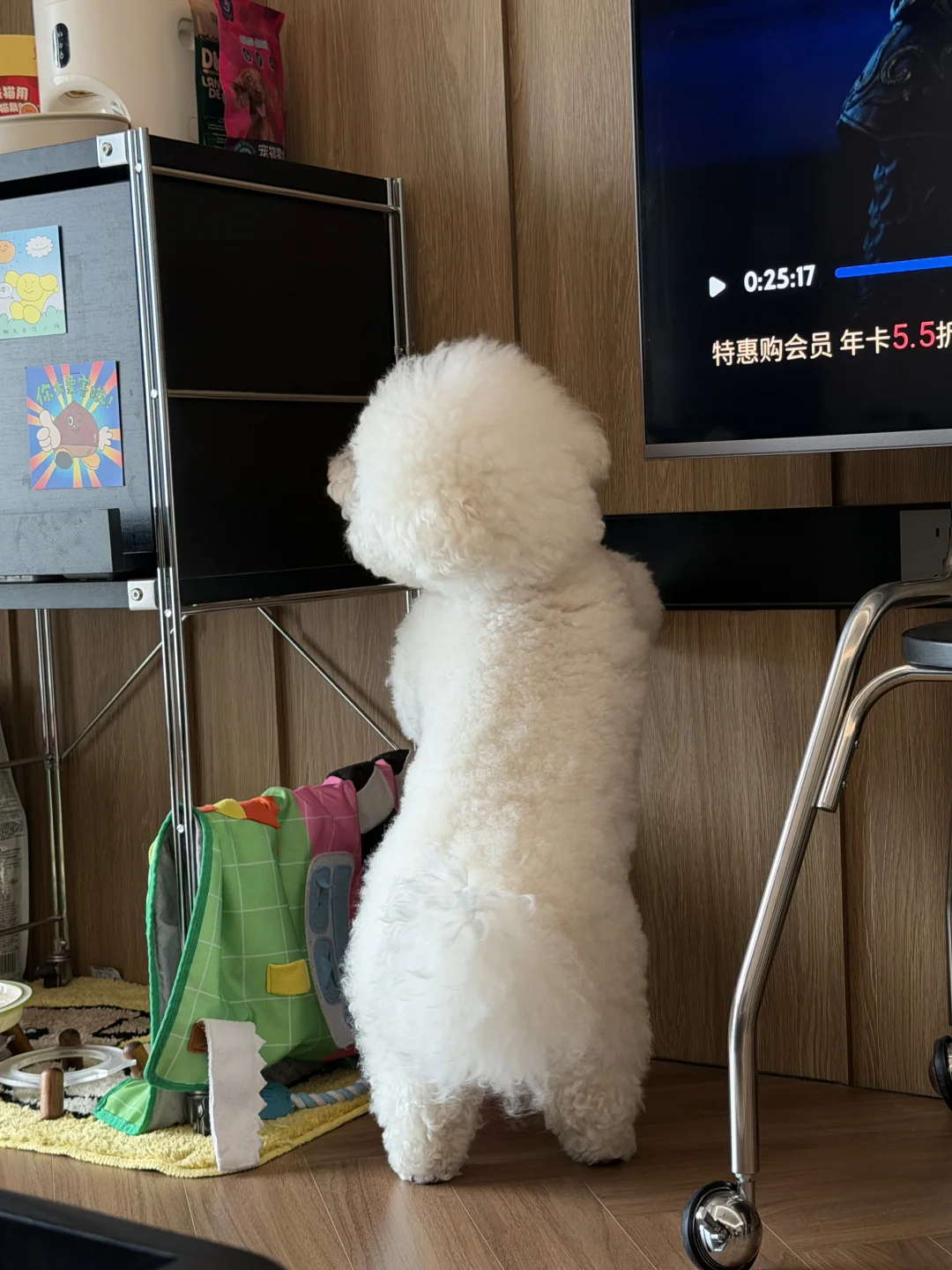 这谁家小孩