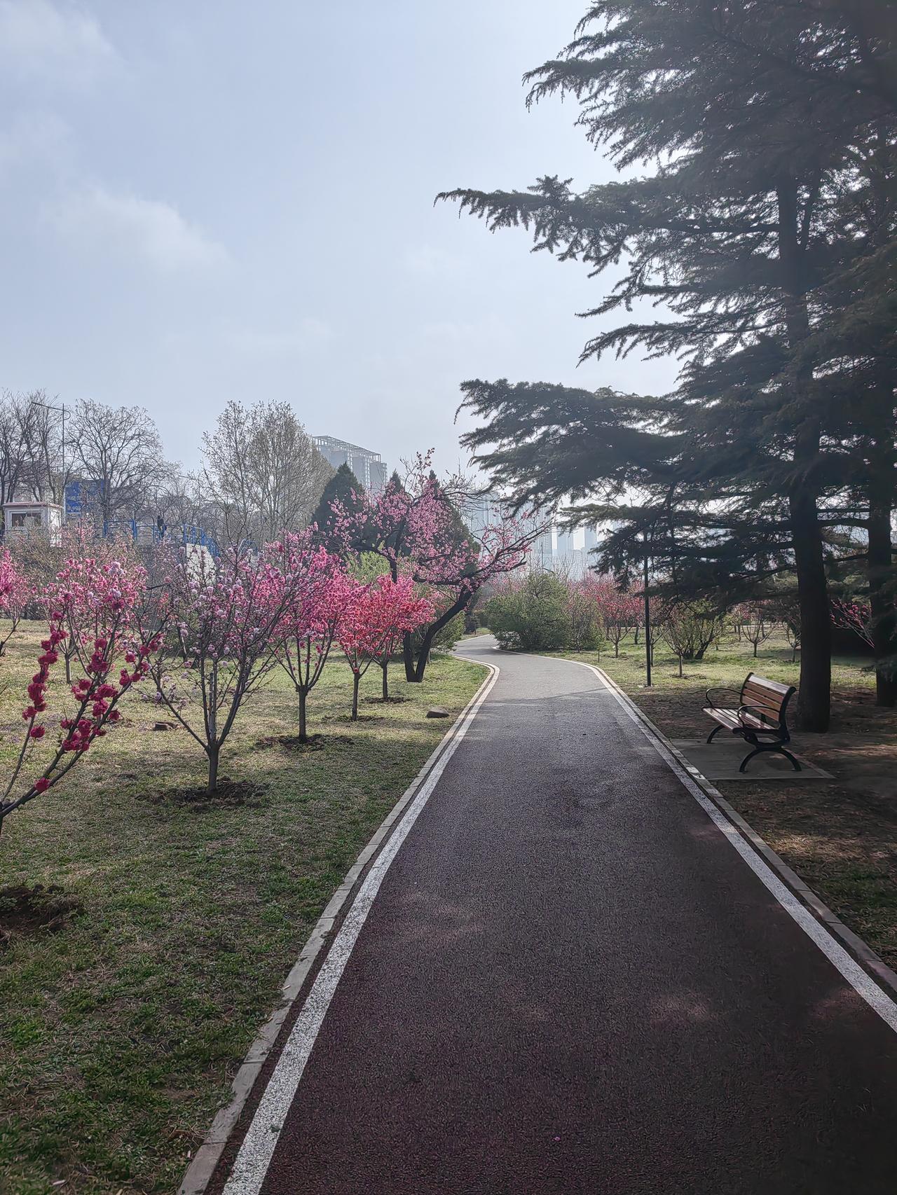 重温了老电影《追捕》，竟意外发现三处鲜有人留意的bug。其一，在未遭诬告之前，杜