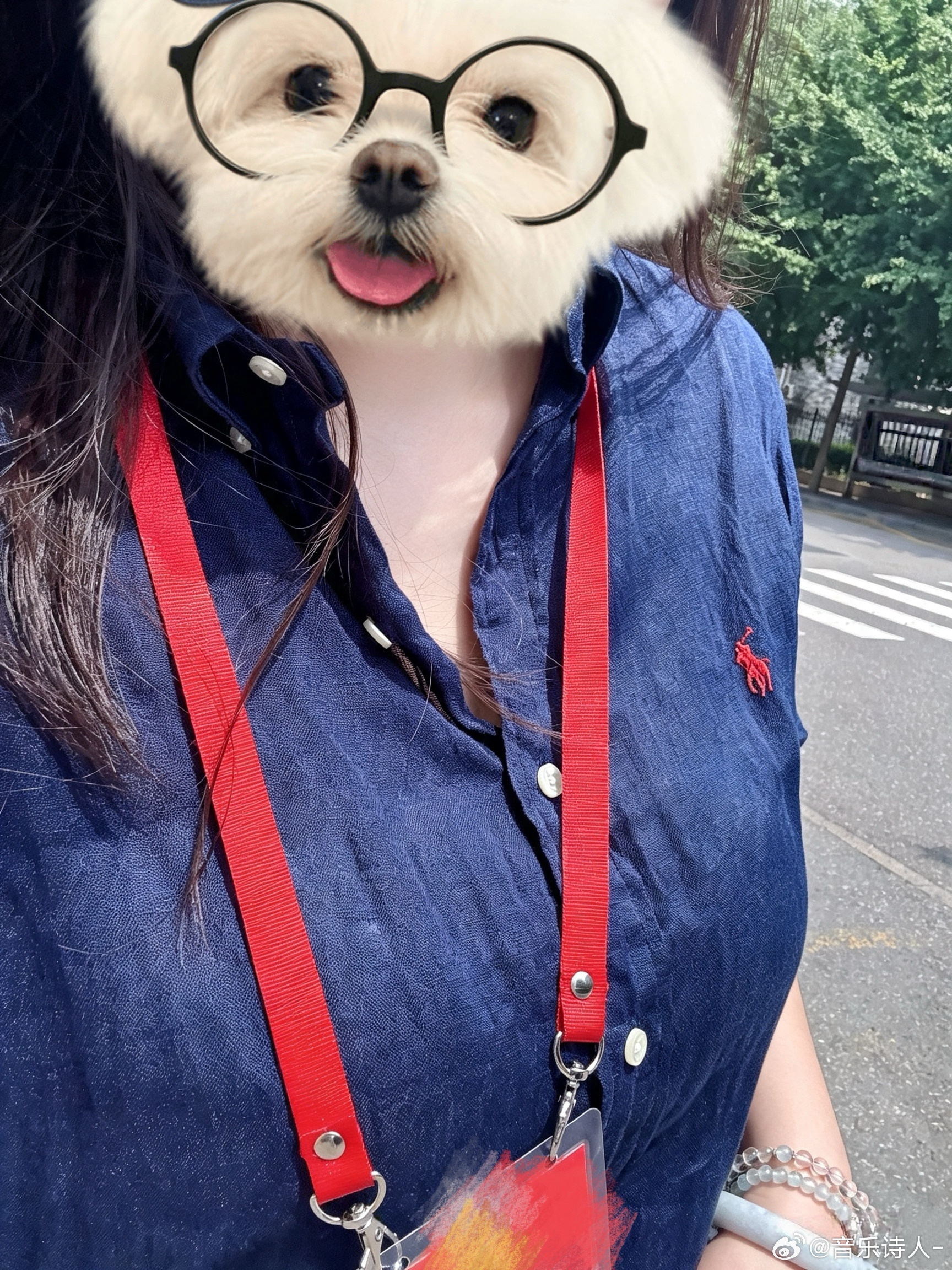 夏天穿正装和谋财害命没什么区别！有领子真是好热热热 热热热 