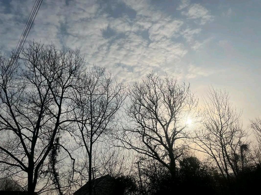 四川，老人的独生子因意外去世，在得知儿媳将带着孙女回乡来探望自己后，提前几小时就