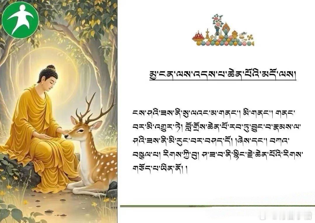 迎接国际素食文化节🥦🥬🌽🥕🍅 