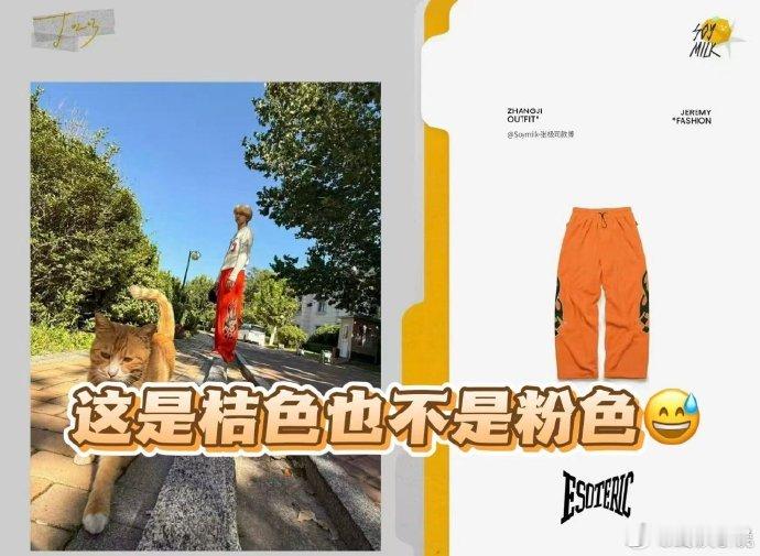 不实传言该止步了！张极520当日穿桔色，网传聊天记录和图片全是伪造，时间线漏洞百