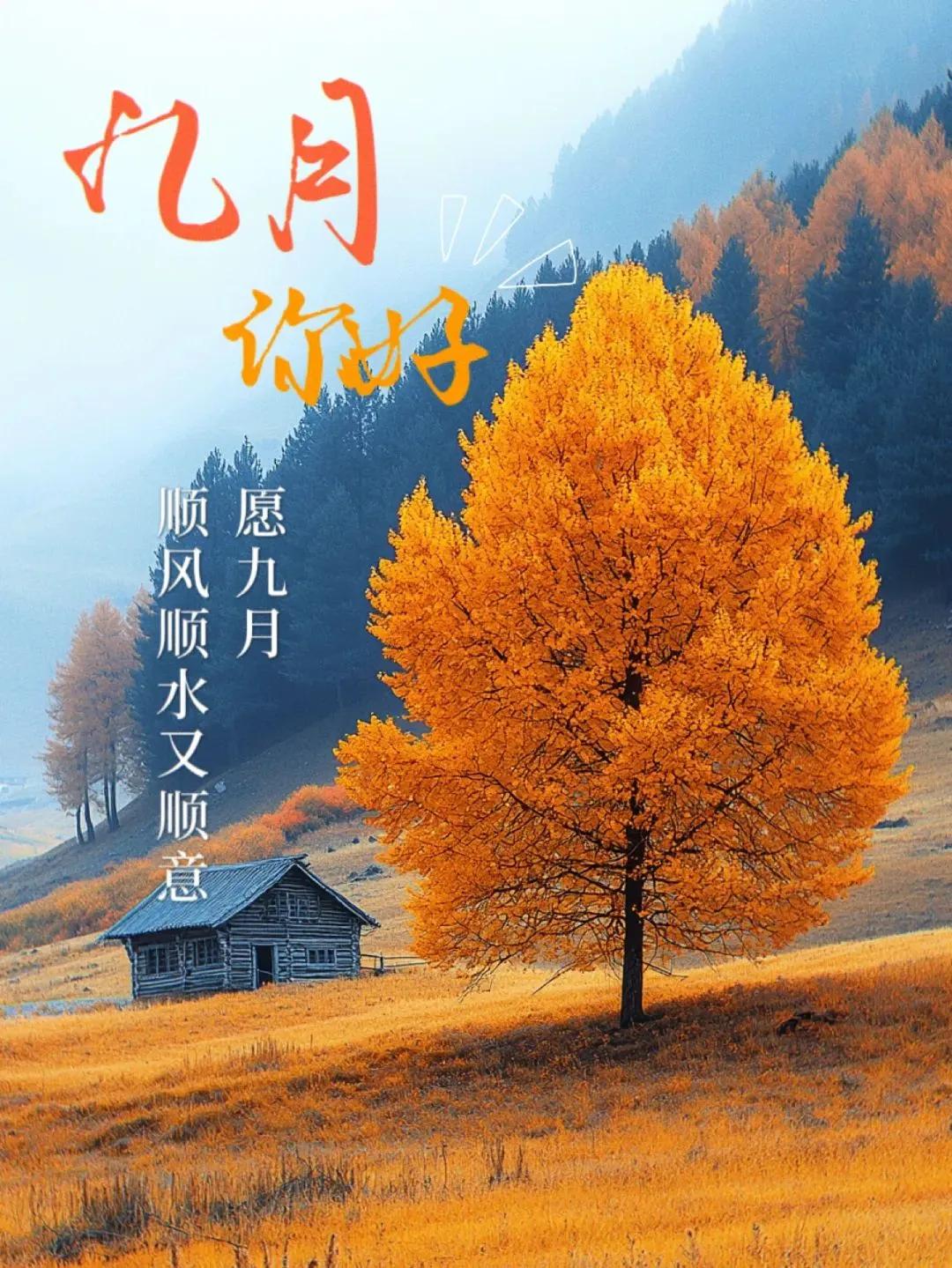 九月
夏去秋来
时光匆匆季节交替
用一颗平和的心
去感受流年岁月
去欣赏四季的美