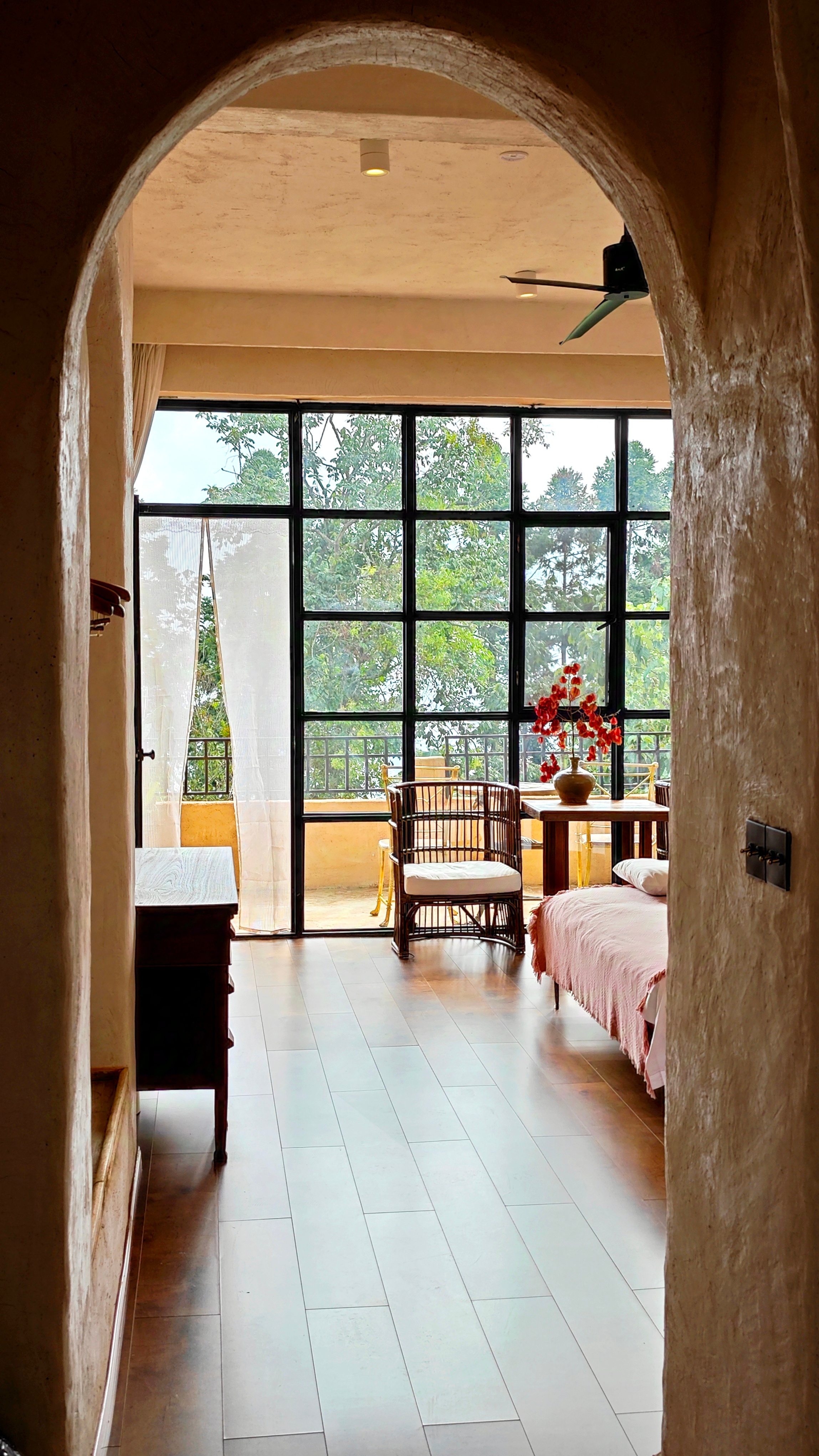 感觉人类就像小动物一样！前段时间一直下雨，气温骤降，好不容易迎来了一个晴天，立刻