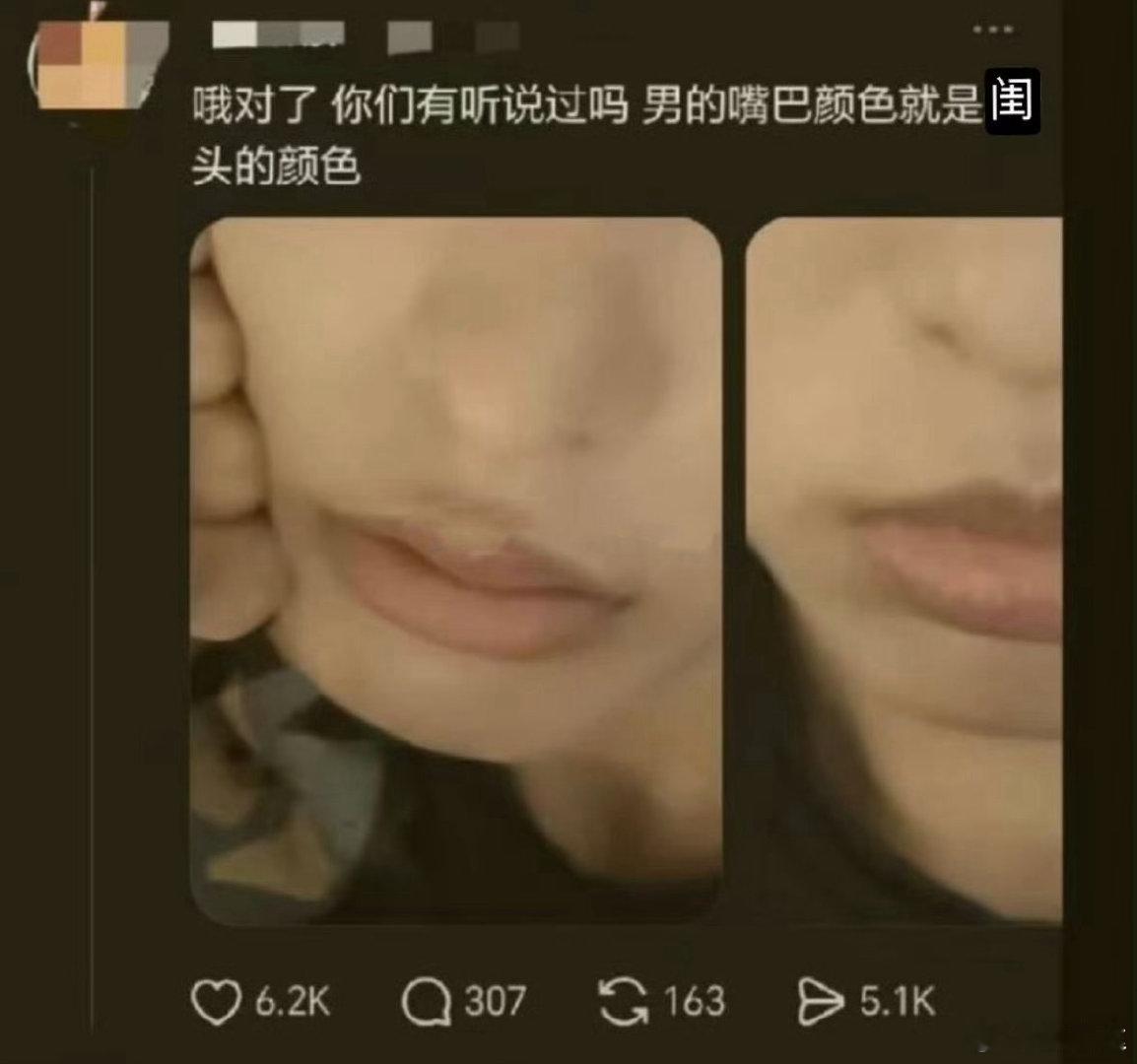 真嘟假嘟 
