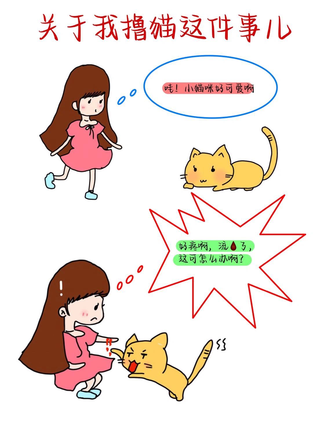 关于我撸猫这件事‼️给自己的安全感👍