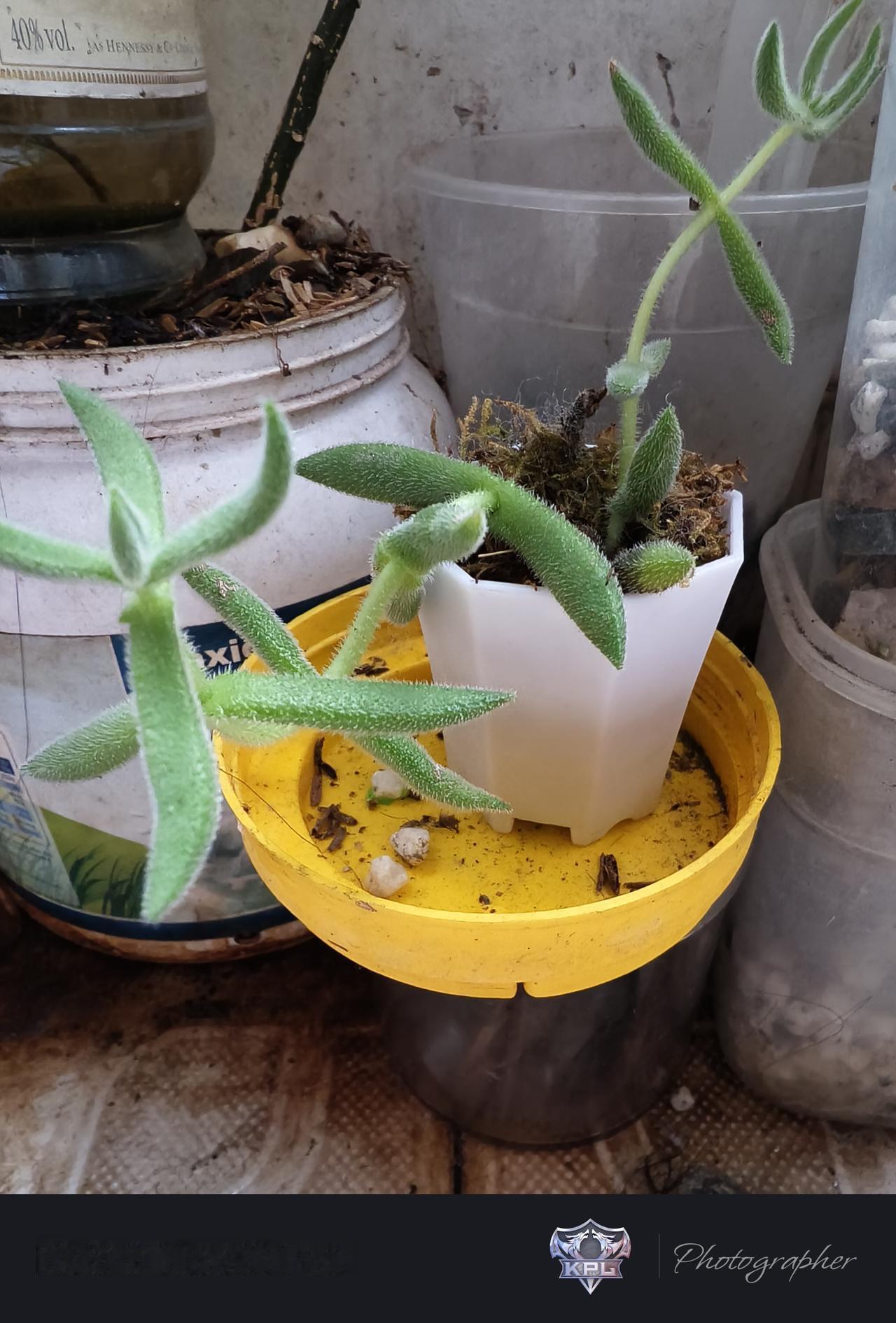 不额外去外面补课的孩子可以正常上大学了吗？刚刚听个家长说很多的孩子在六年级的阶段