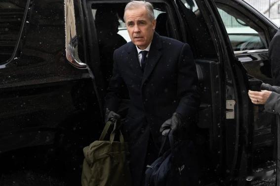 加拿大卡尼喊话特朗普，称他在达沃斯说的话是认真的
 
加拿大总理卡尼对特朗普的强