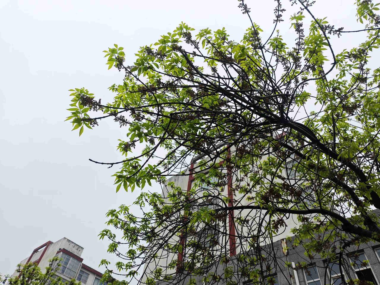 我的今日状态：😁轻松愉快
我这里的天气：☀️晴天