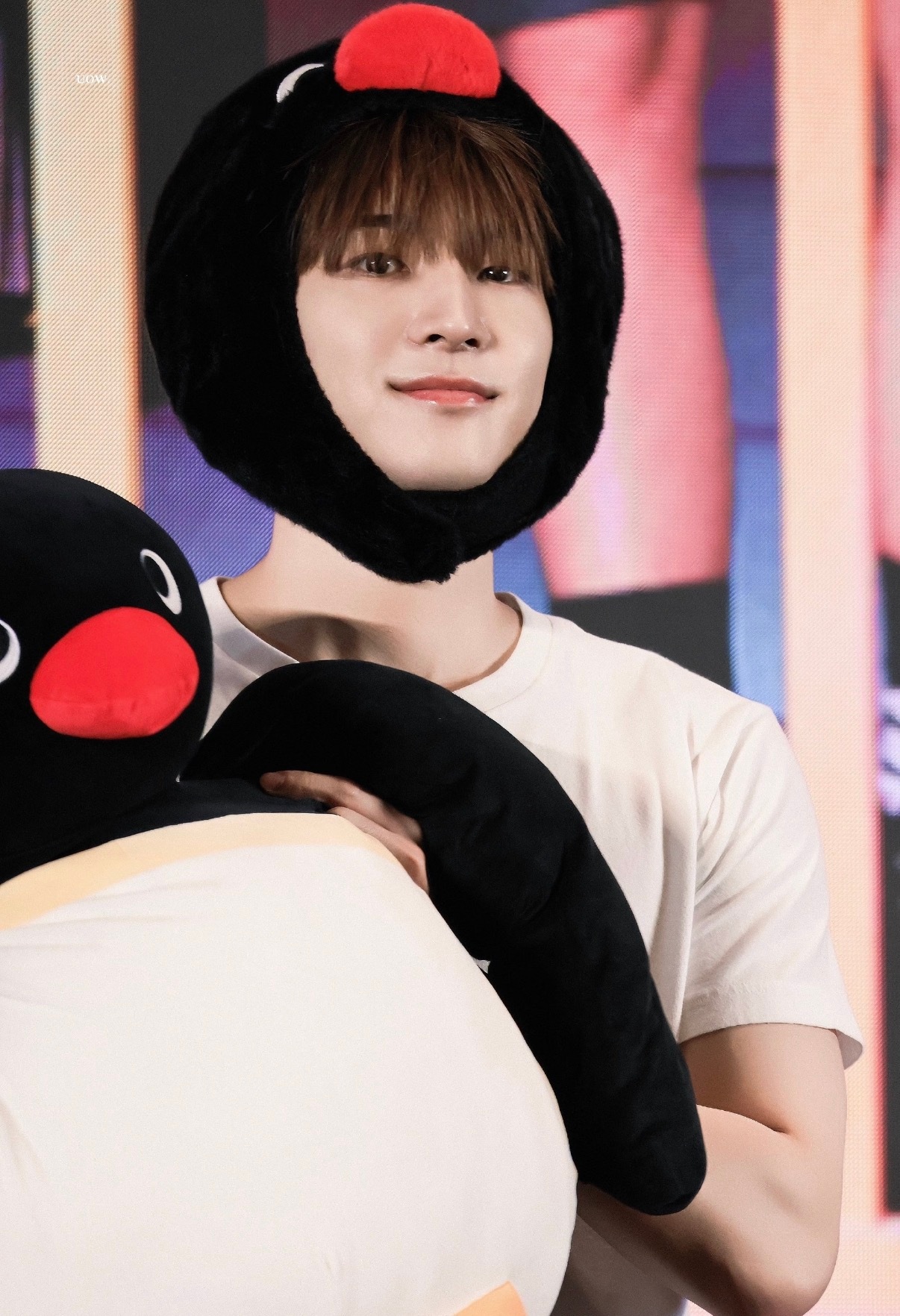 Wonwoo全圆佑[超话]  萌咪cr.水印 ​​​