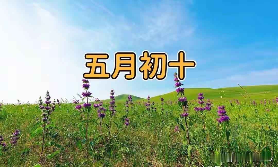今日五月初十，1要看2要吃3不做，为全家讨个福气多多
 
农历五月初十，老辈人说