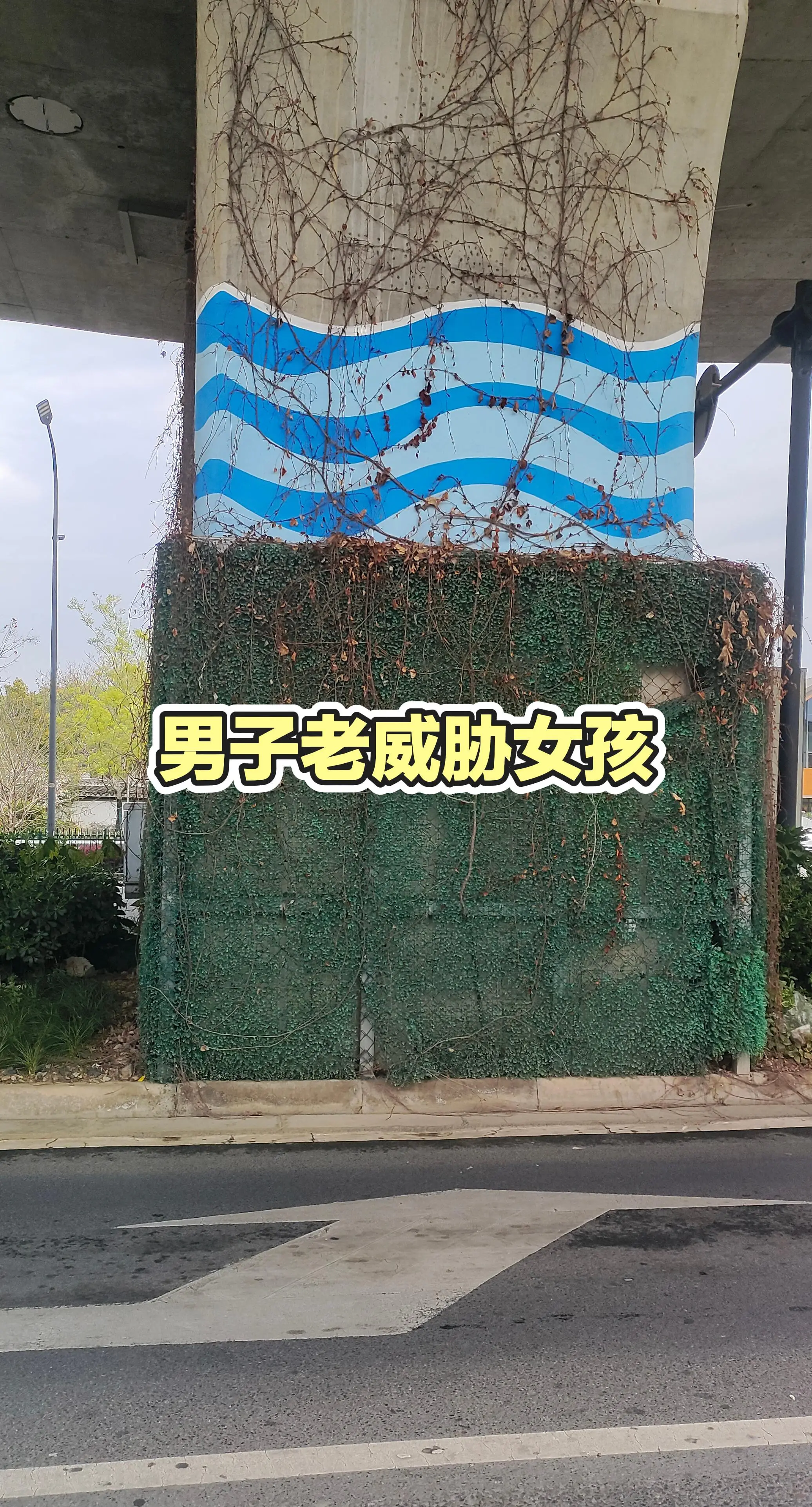 民间实拍