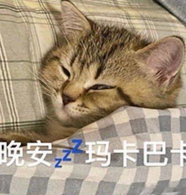 晚安玛卡巴卡。 