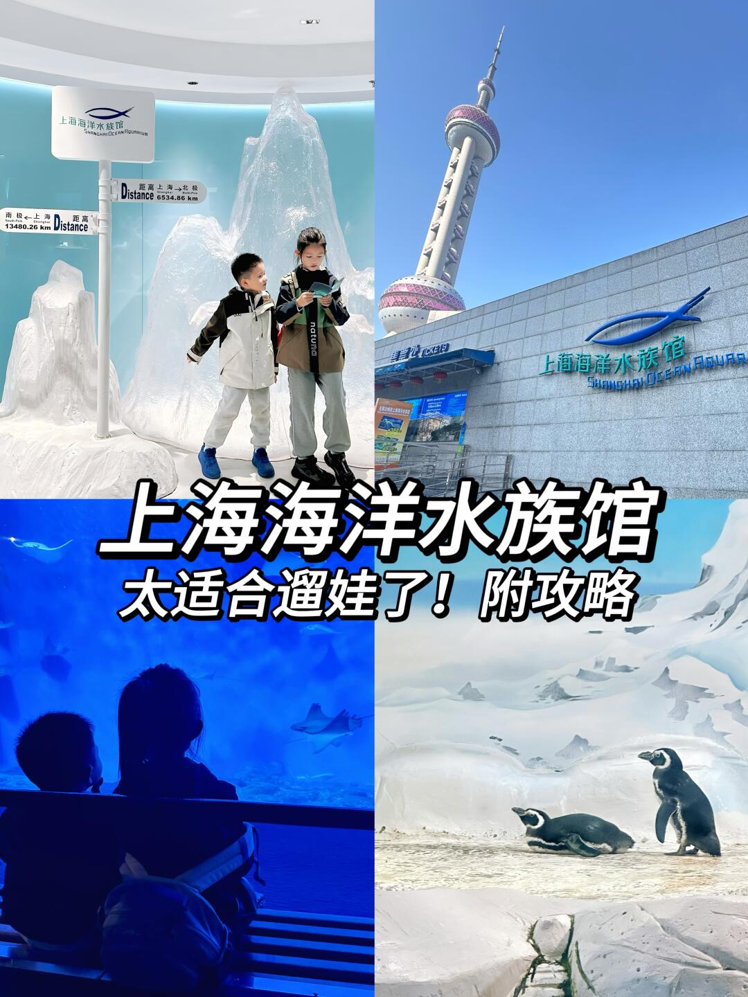 上海海洋水族馆｜中国年看中国鱼，太值了！