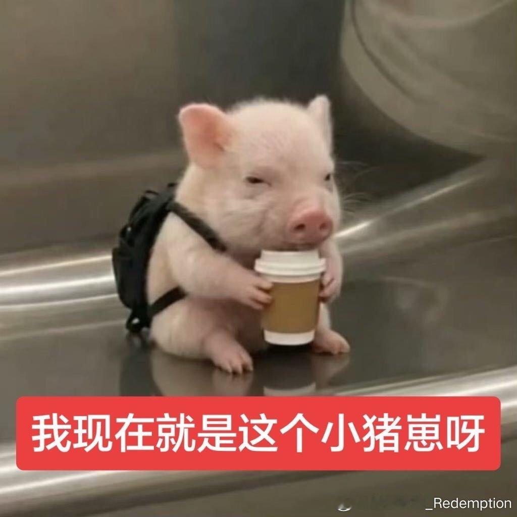 分享图片 