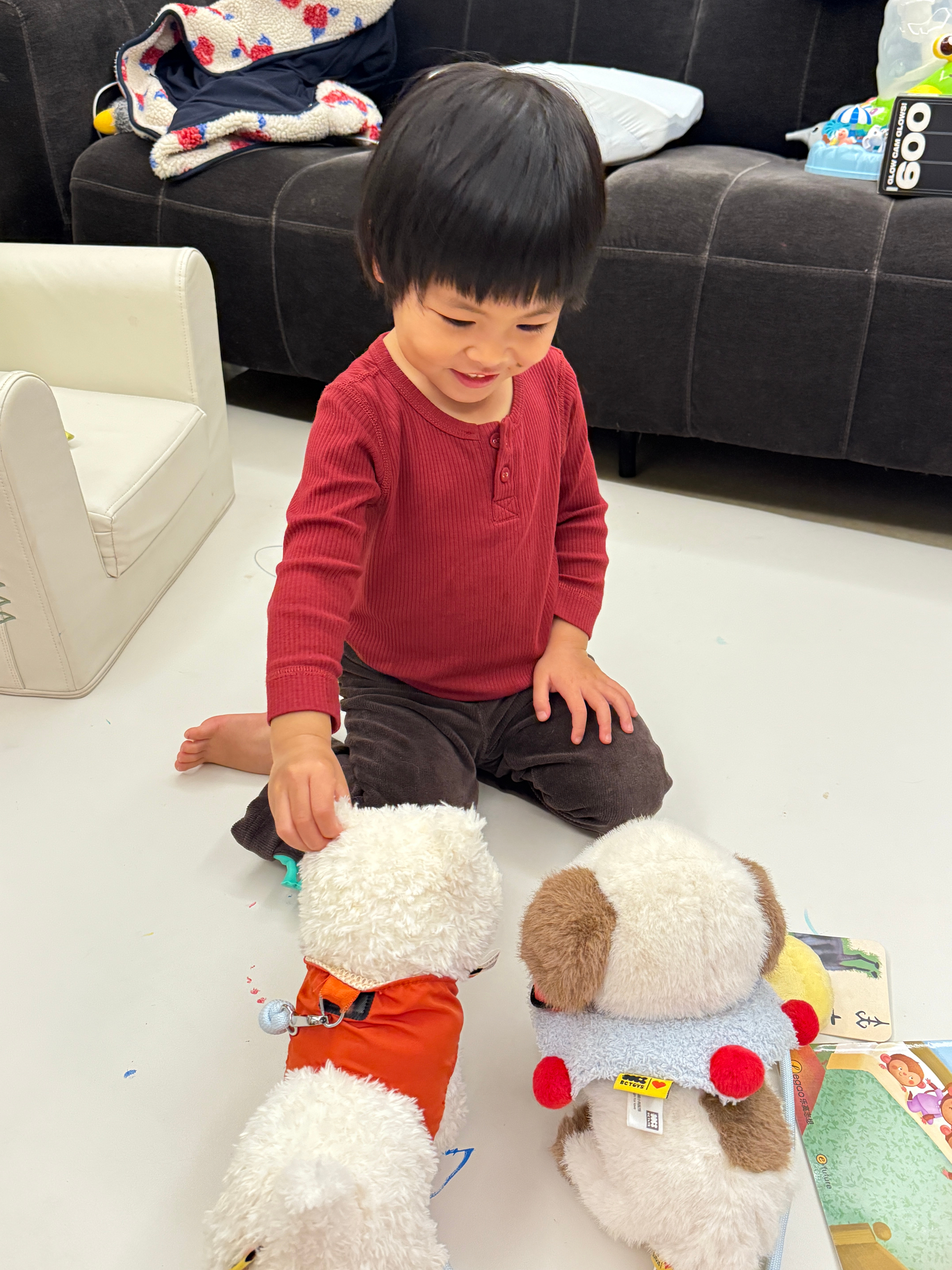 球好可怜弄了两个假狗，一个取名叫点点（我朋友的狗叫点点），一个取名宝弟（邻居的狗