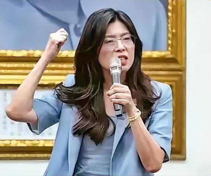 郑丽文7月3日出人意料地表示，“没有国民党，就没有台积电；没有台湾的‘护国神山’