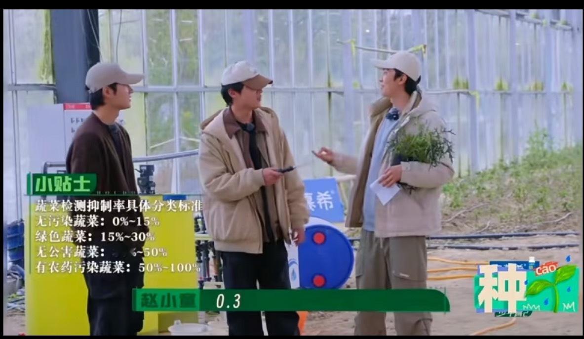 十个勤天粉丝有自己的硬通货大家可以了解一下，之前他们种的生菜苦苣之类的，农药残留