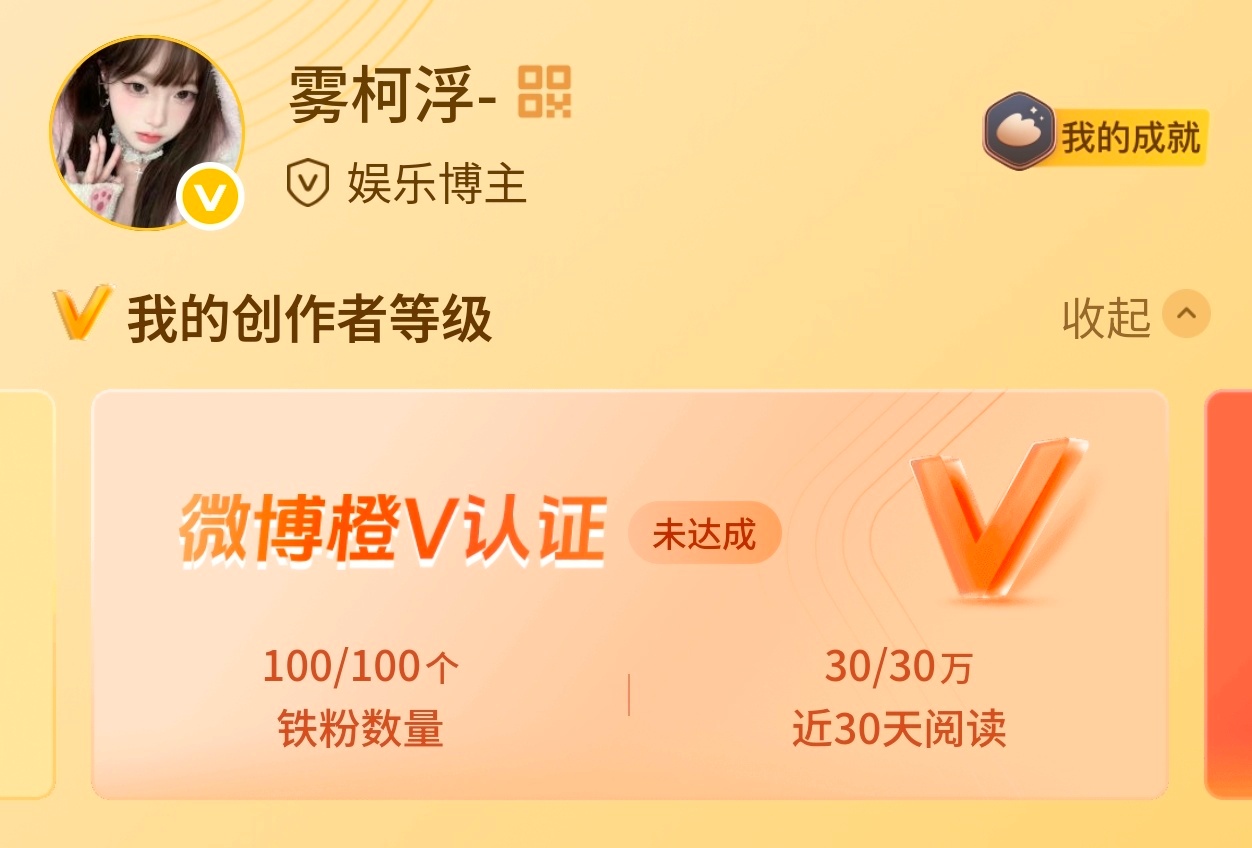 什么意思
