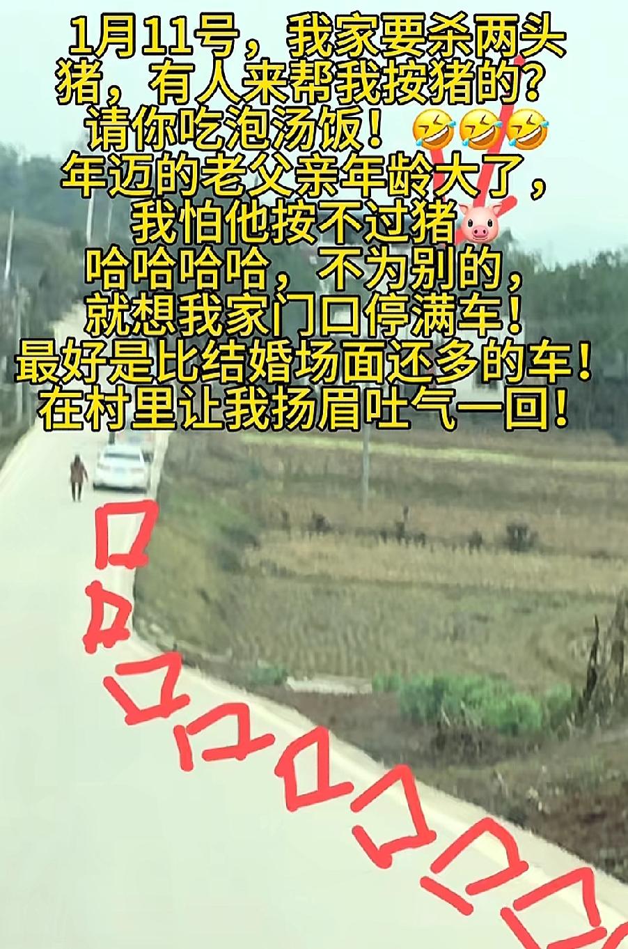 呆呆为何会邀请网友来按年猪，

是父亲真的按不住猪了吗，

还是找不到其他人按猪