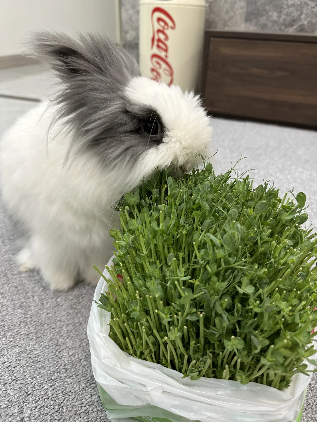 胖师傅：豌豆苗我只吃尖儿