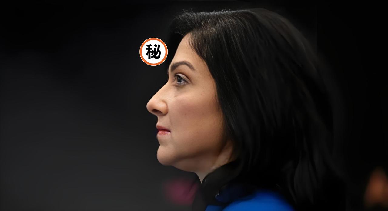 快讯！快讯！
德国经济部长凯瑟琳娜·赖歇最近说了些让人惊讶的话，她把荷兰强制接管