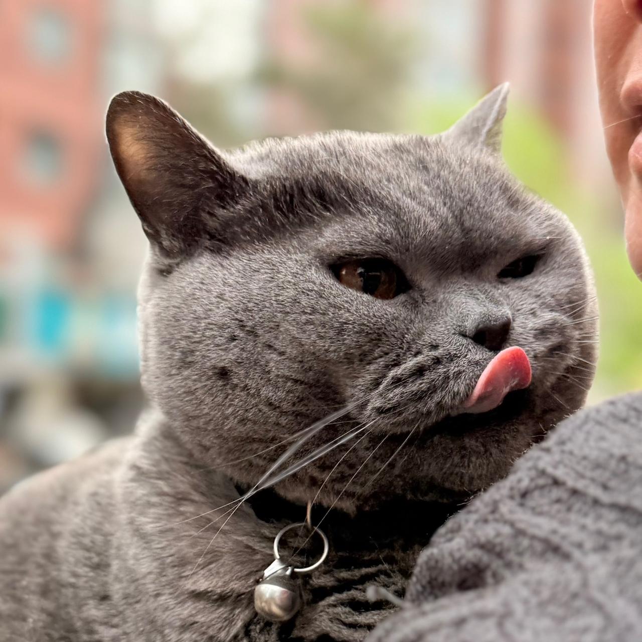 守住自身能量，好运才会一直跟着你：

1. 运势顺、财运好时，不乱借钱、不随意担