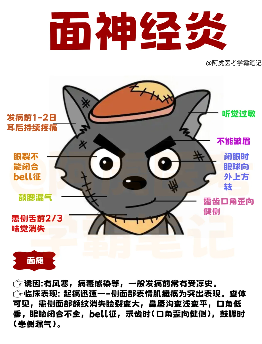 医学生笔记📒：面神经炎👆