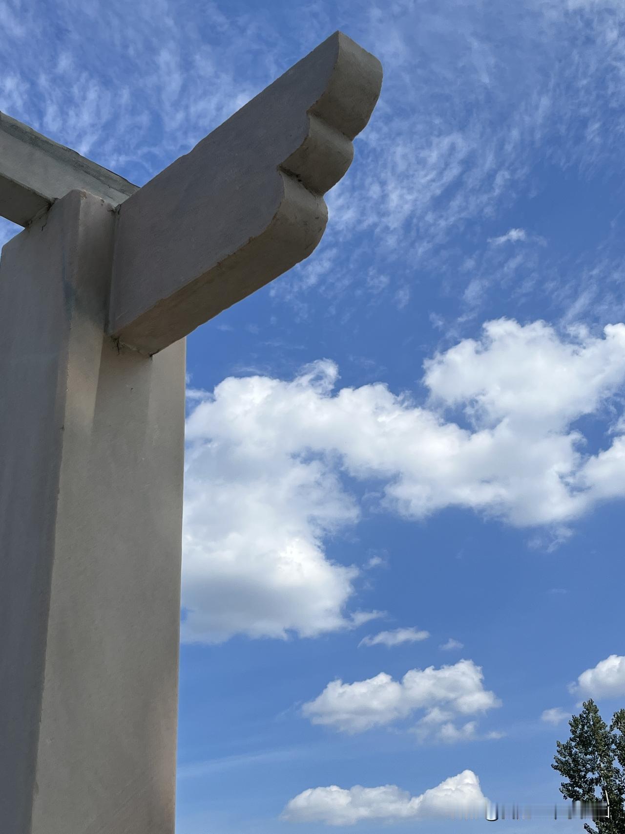 
今天是24节气中的霜降，中午出去办事从一个小公园穿过，看到了盛开的喇叭花，随手