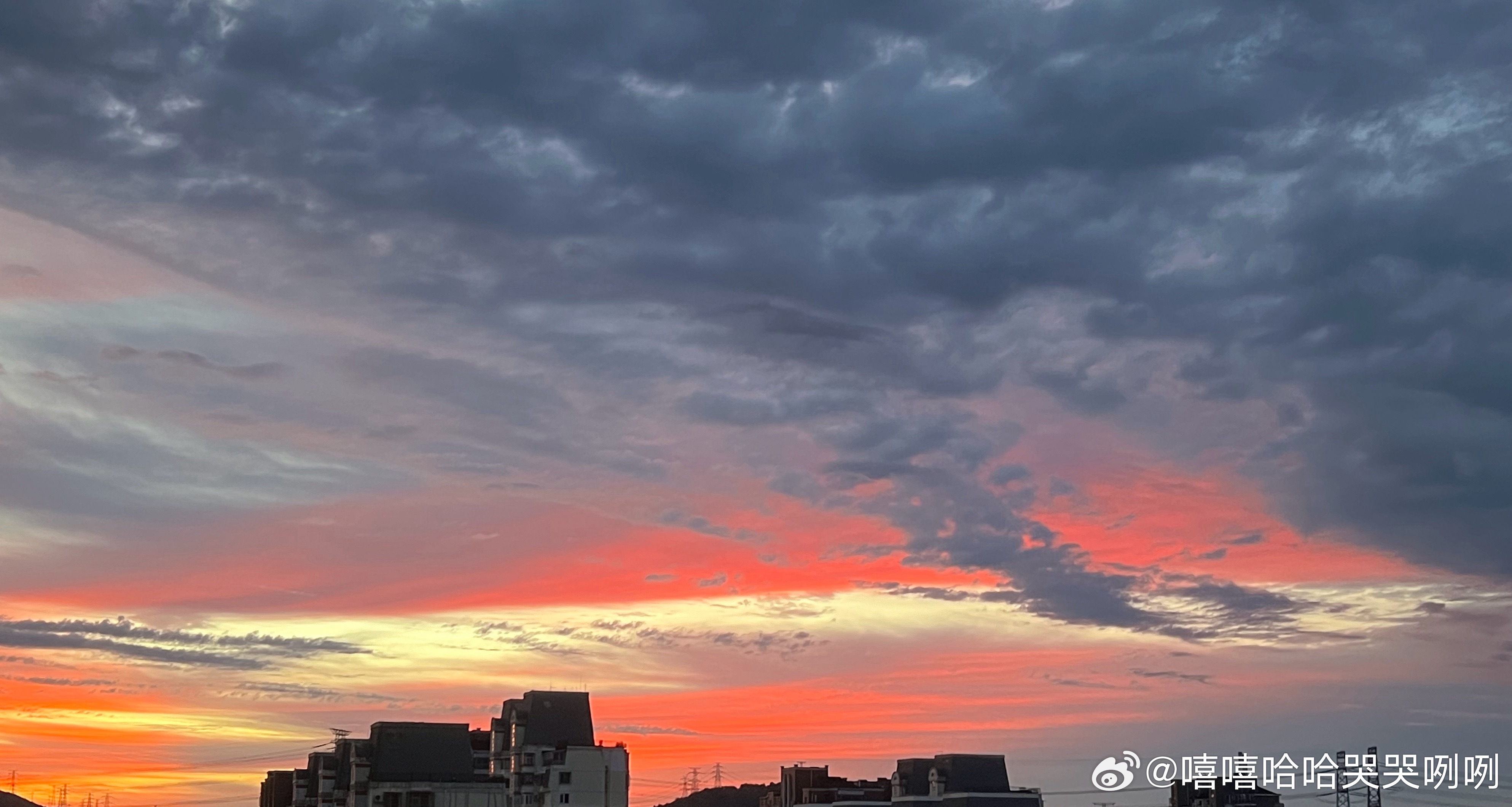 玫瑰色的清晨，转瞬即逝，美好又短暂这段话杀死了内耗型人格 ​​​