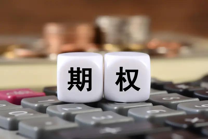 资产配置的高级工具都有哪些? 资产配置的高级工具可不少。首先是期权，它能让投资者