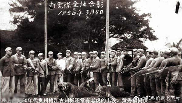 1950年代湖南的“打虎运动” 