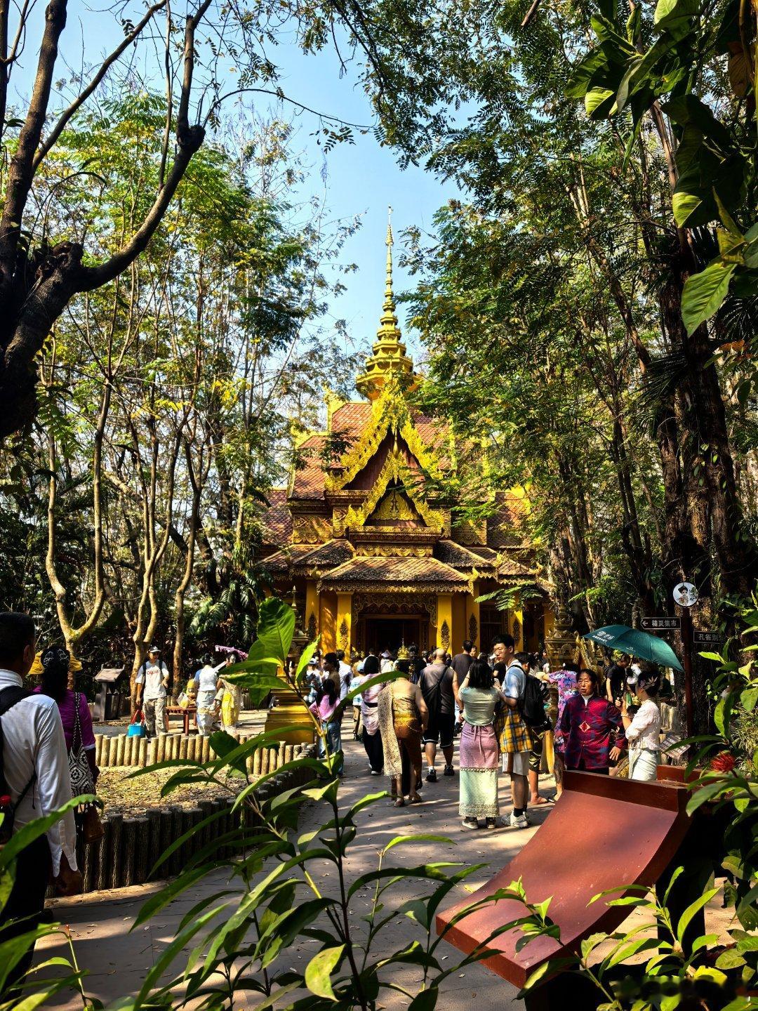 傣族服饰对人的要求实在是太考验了。“满园旅拍齁不住，缕缕多肉出裳来。 景洪·曼听