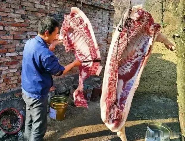 有专家说：

快过年了，农村又出现了一个令人担忧的现象：农民私自宰杀年猪的行为。